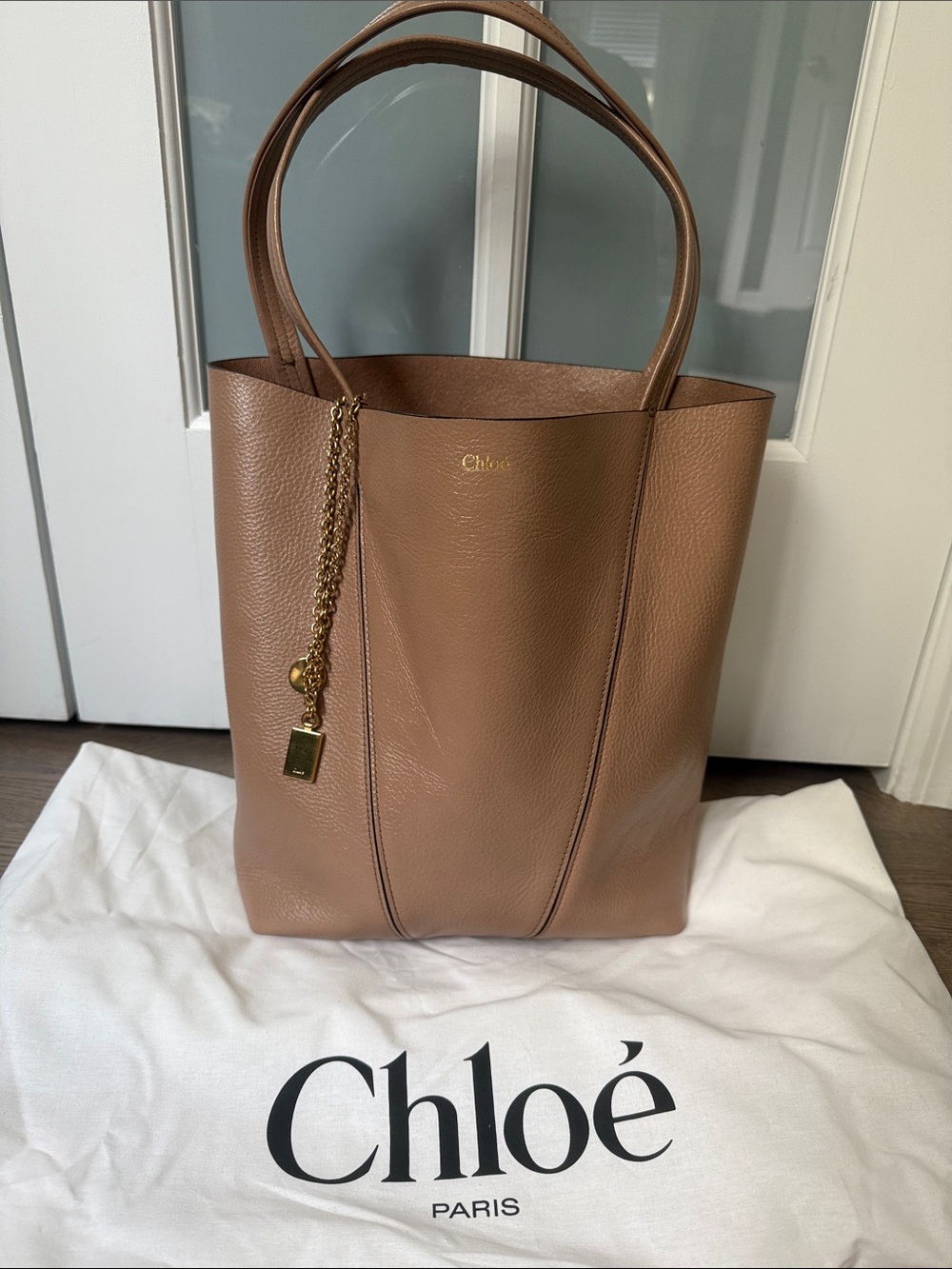 Chloe Woodrose Medium Leather Tote Bag